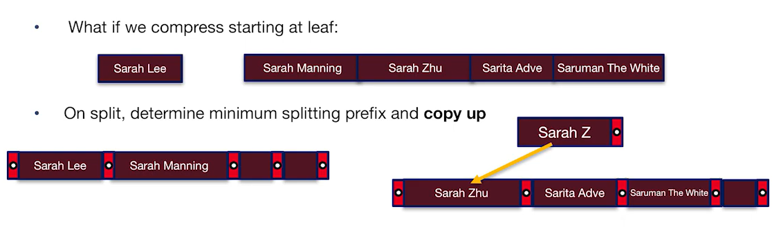 alt text /databasel6/image-9.png