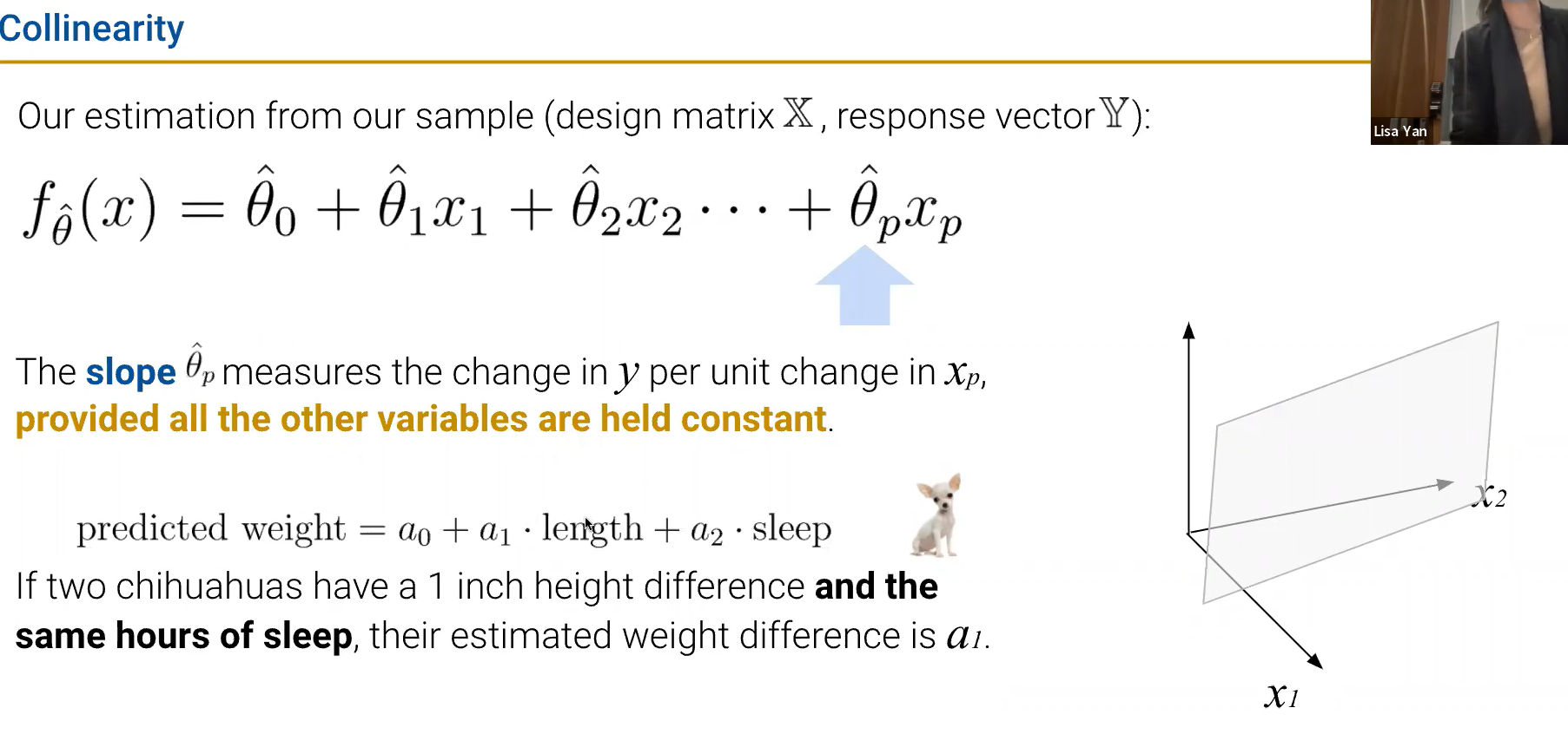 alt text /datal17/image-4.png