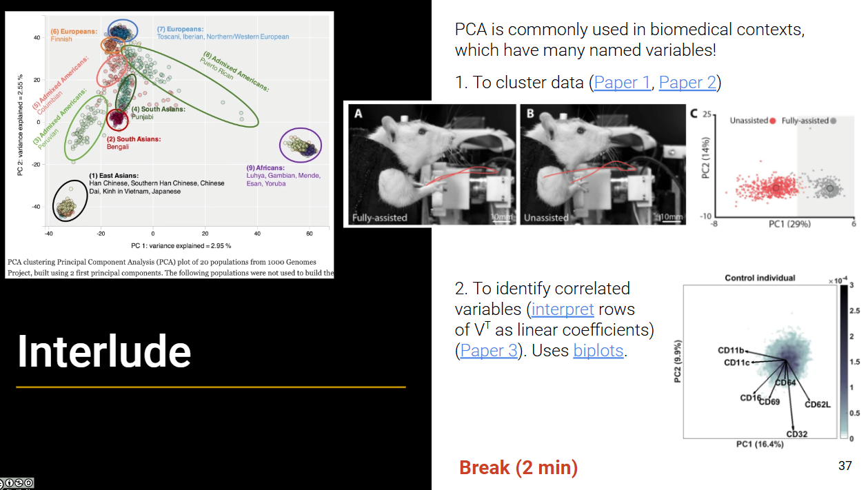 alt text /datal22/image-8.png